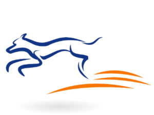 Courier Singapore, Courier Service Singapore, Dispatch Service, Delivery Service